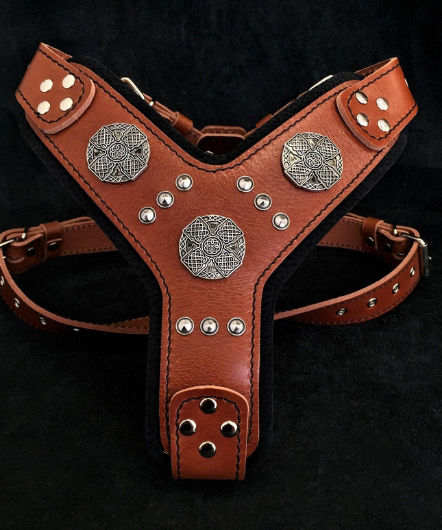 The "Maximus" silver harness-1