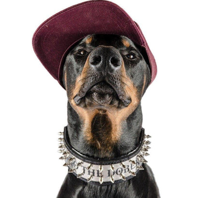 The "Metal" collar- personalized!-2