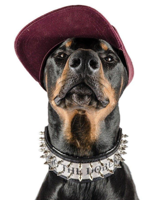 The "Metal" collar- personalized!-2