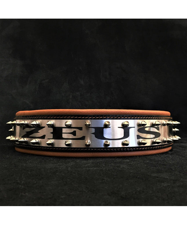 The "Metal" collar- personalized!-0