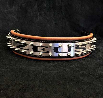 The "Metal" collar- personalized!-1