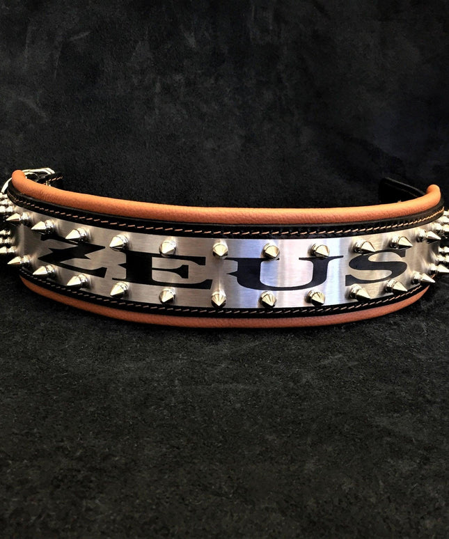 The "Metal" collar- personalized!-1