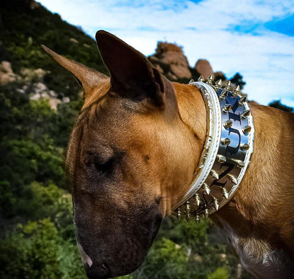 The "Metal" collar White & Gold- personalized!-3