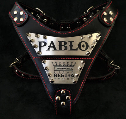 The "Metal" harness- Personalized!-0