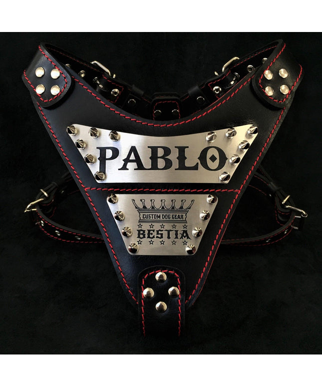 The "Metal" harness- Personalized!-0