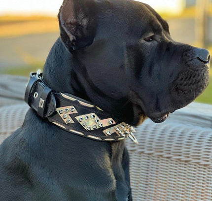 The ''Midas'' Collar Silver-3