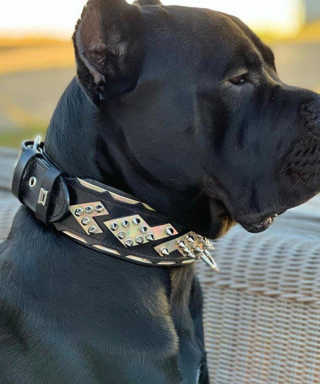 The ''Midas'' Collar Silver-3