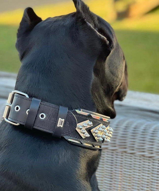 The ''Midas'' Collar Silver-4