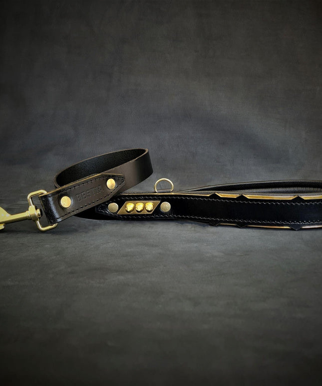 The ''Midas'' leash-1