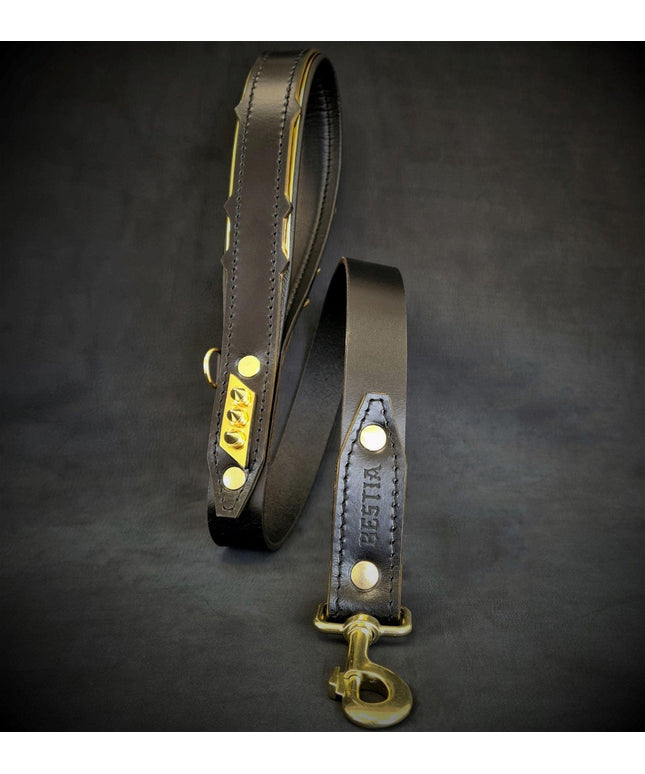 The ''Midas'' leash-0