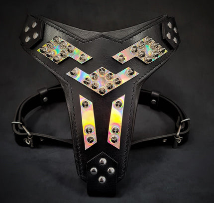 The ''Midas'' leather dog harness silver