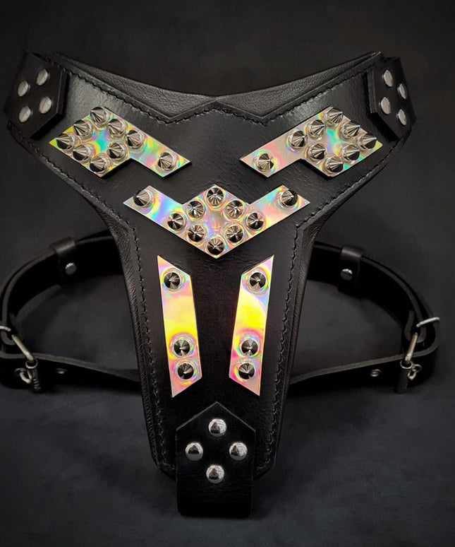The ''Midas'' leather dog harness silver