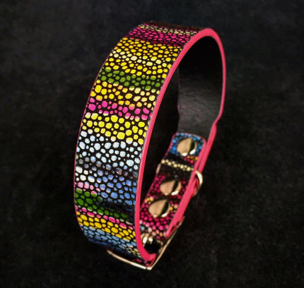 The "Moby" puppy collar-0