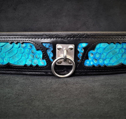 The ''Morelia Python'' collar-3