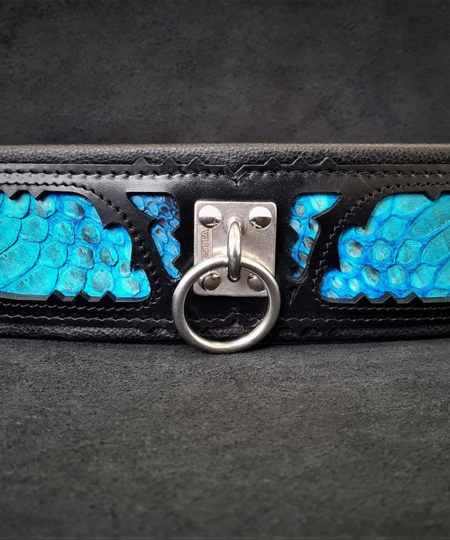 The ''Morelia Python'' collar-3