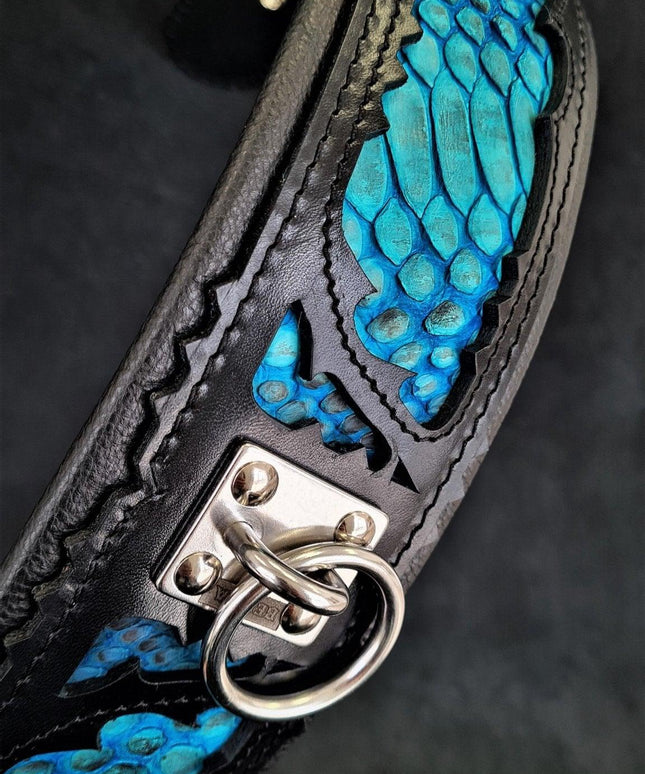 The ''Morelia Python'' collar-1