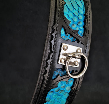 The ''Morelia Python'' collar-0