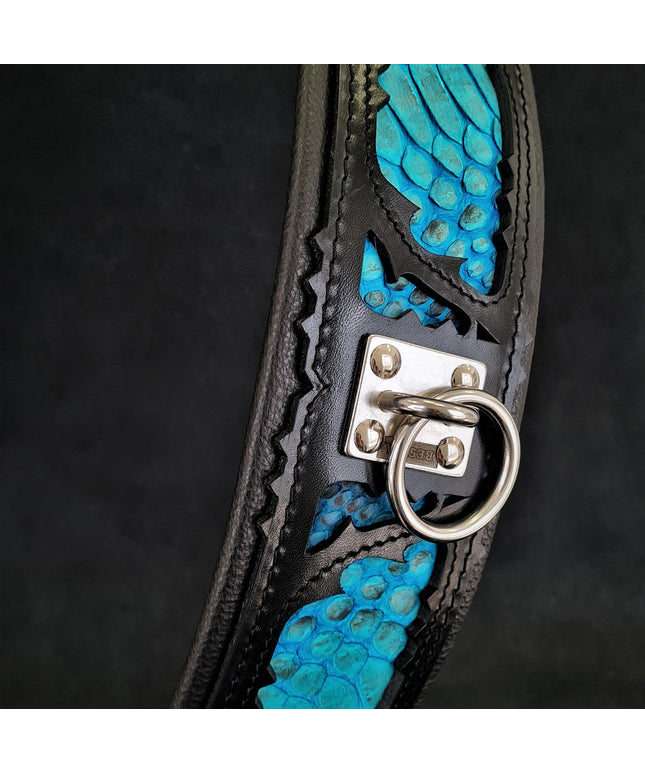 The ''Morelia Python'' collar-0