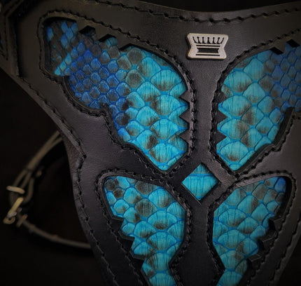 The ''Morelia Python'' harness-1