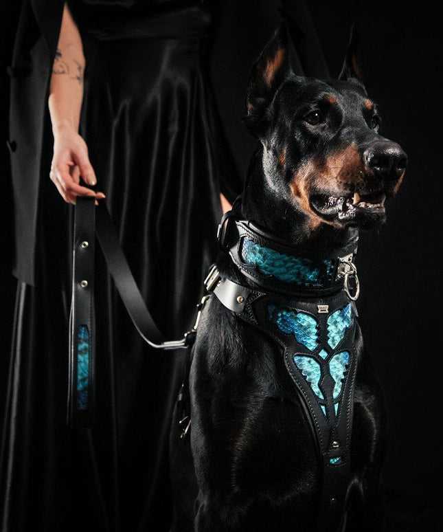 The ''Morelia Python'' harness-4