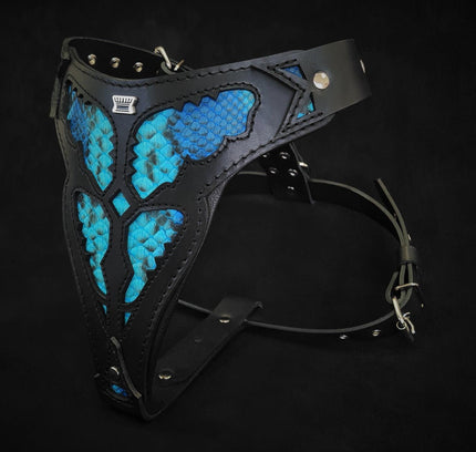 The ''Morelia Python'' harness-2