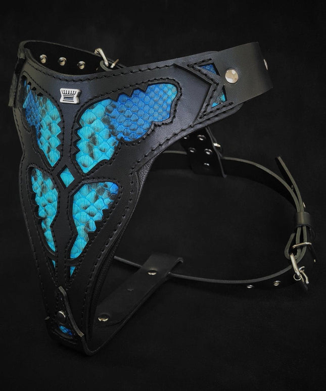The ''Morelia Python'' harness-2