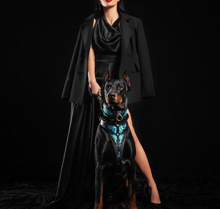 The ''Morelia Python'' harness