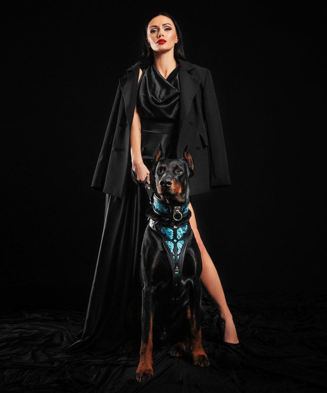 The ''Morelia Python'' harness