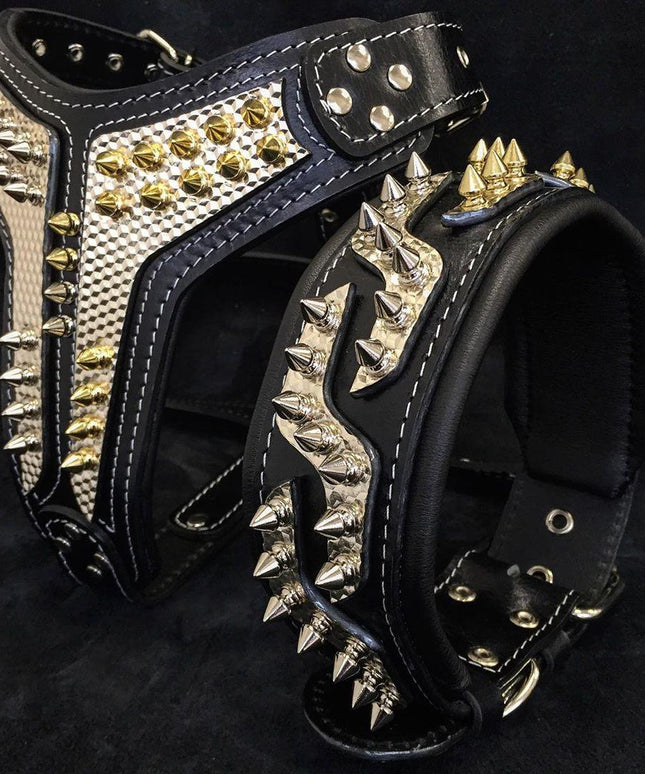 The ''Platinum'' collar-2