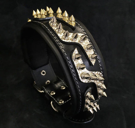 The ''Platinum'' collar-0