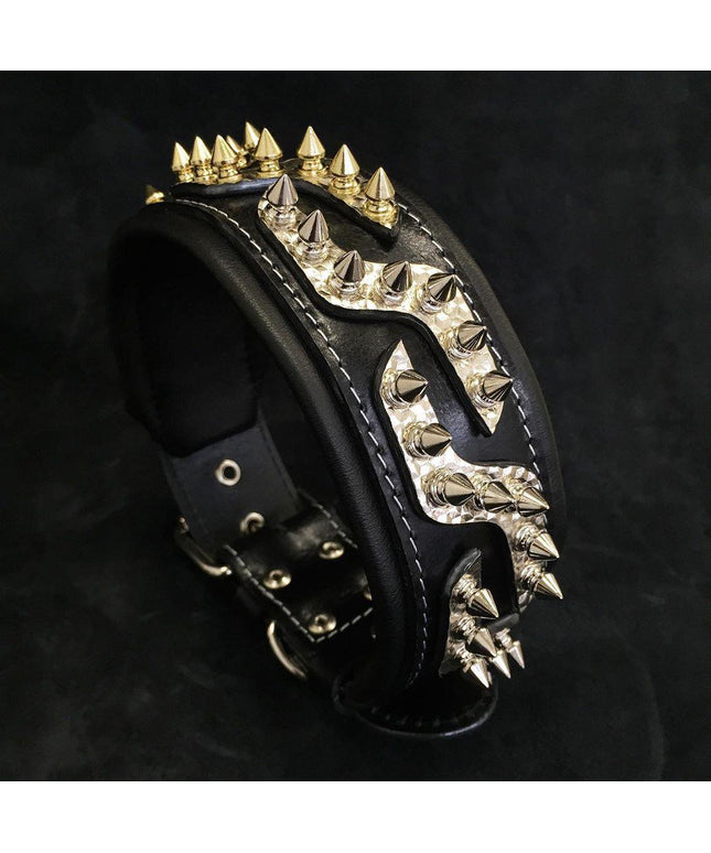 The ''Platinum'' collar-0