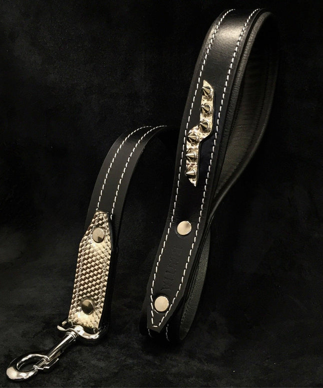 The ''Platinum'' harness-1