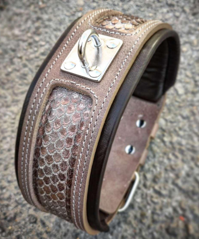 The ''Python'' exclusive design-1