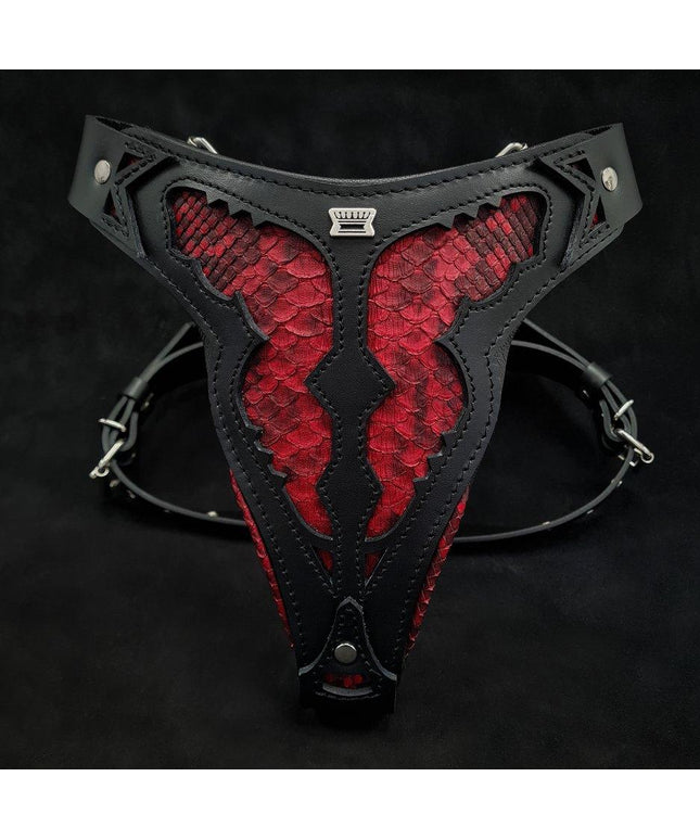 The ''Red Dragon'' harness-0