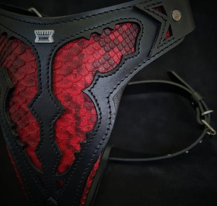 The ''Red Dragon'' harness-2