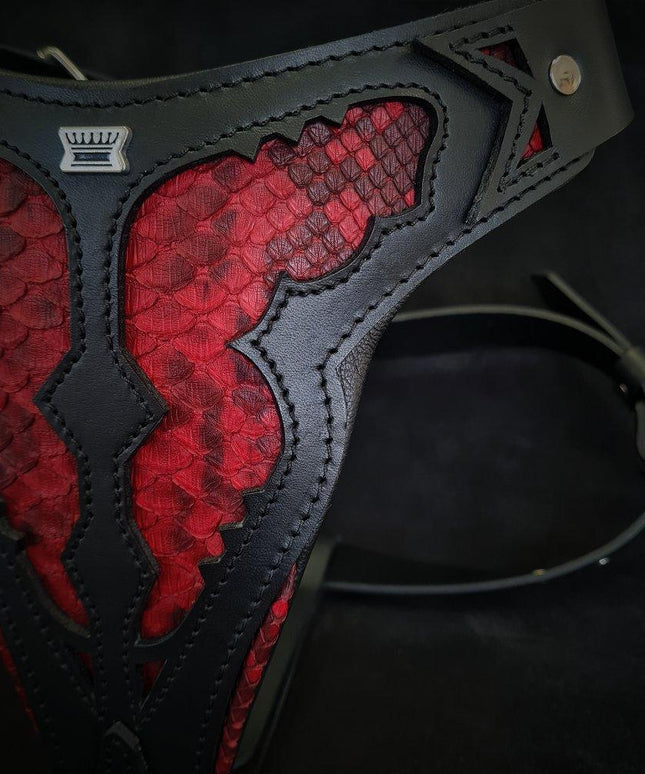 The ''Red Dragon'' harness-2