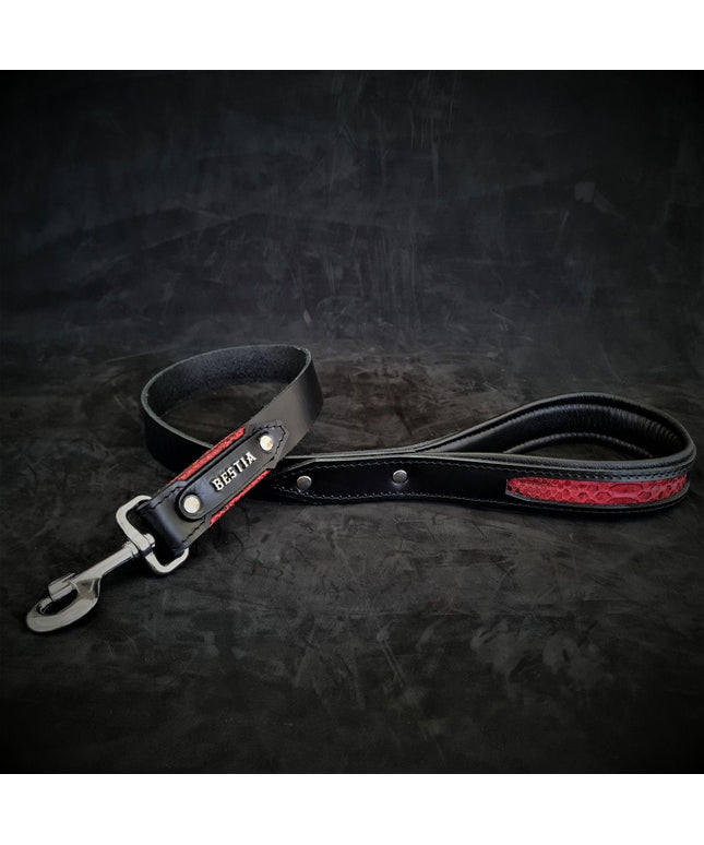 The ''Red Dragon'' leash-0