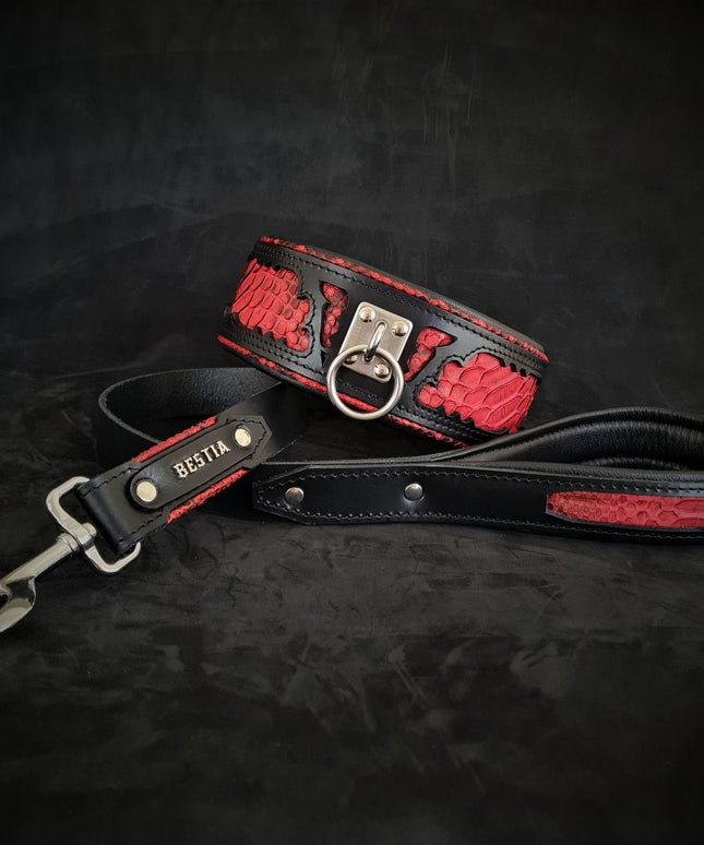 The ''Red Dragon'' leash-1