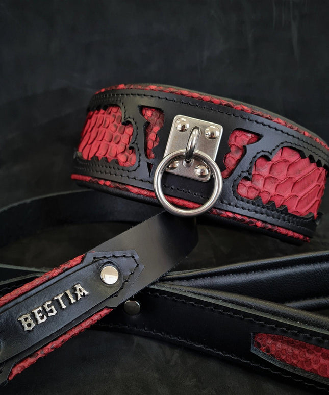 The ''Red Dragon'' leash-3