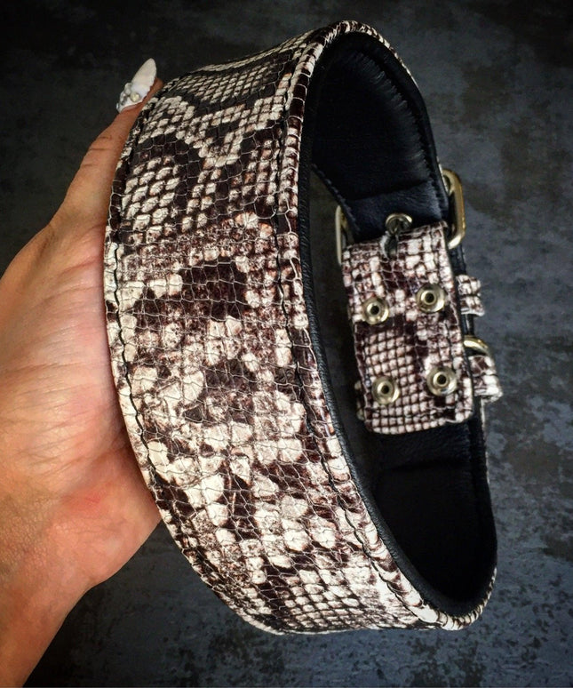 The ''Rock Python'' collar-2