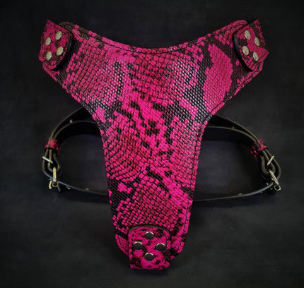 The ''Rock Python'' harness PINK-0