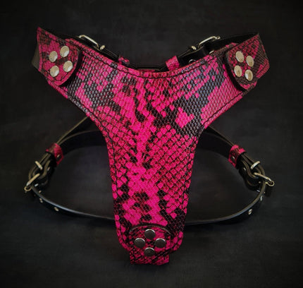 The ''Rock Python'' harness Small to Medium Size-0
