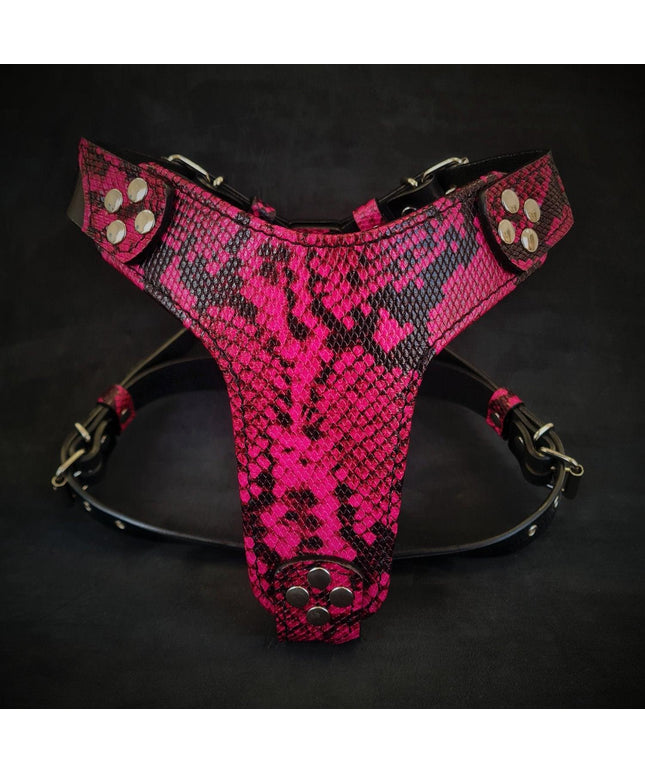 The ''Rock Python'' harness Small to Medium Size-0