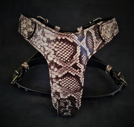 The ''Rock Python'' harness Small to Medium Size-0
