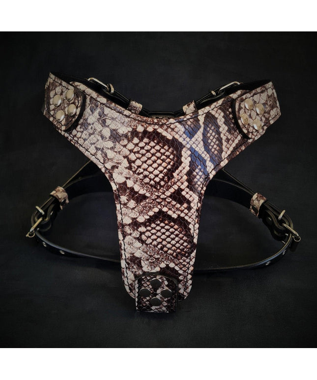 The ''Rock Python'' harness Small to Medium Size-0