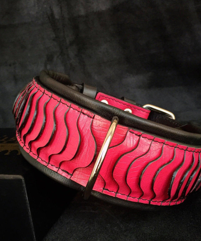 The ''Spine'' collar-1