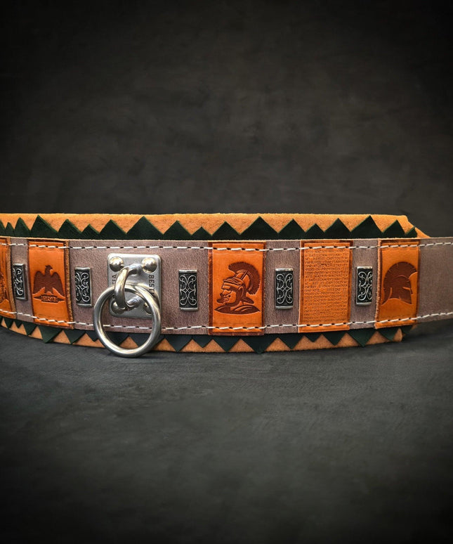 The ''SPQR'' Dog Collar-2