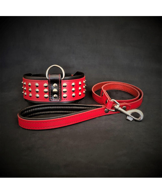 The "Star" Set- collar & leash-0