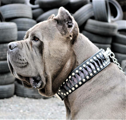 The ''Steampunk'' collar exclusive design-4