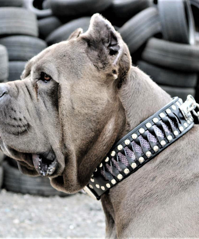 The ''Steampunk'' collar exclusive design-4